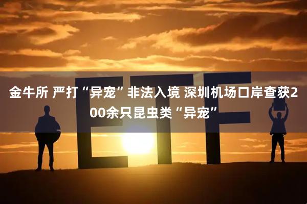 金牛所 严打“异宠”非法入境 深圳机场口岸查获200余只昆虫类“异宠”