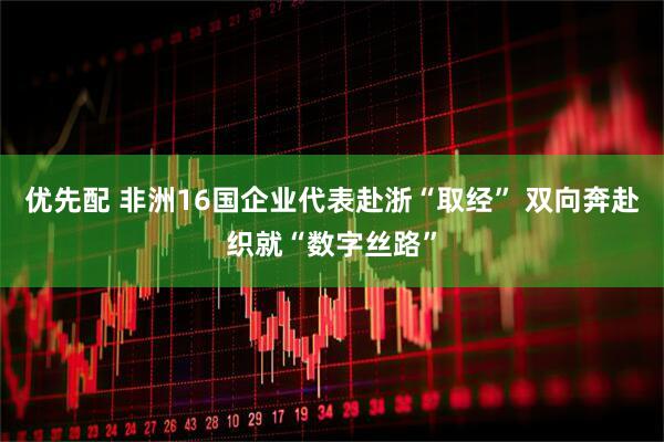 优先配 非洲16国企业代表赴浙“取经” 双向奔赴织就“数字丝路”