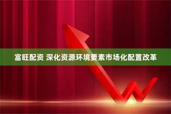 富旺配资 深化资源环境要素市场化配置改革