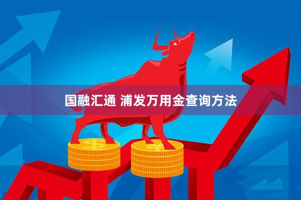 国融汇通 浦发万用金查询方法