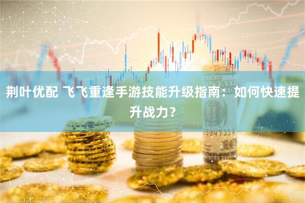 荆叶优配 飞飞重逢手游技能升级指南：如何快速提升战力？